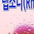 최재훈 비의 랩소디