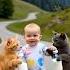 Dudi Dudi Dam Dam Part 9 Cute Cat Baby