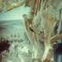 The Extinct Ice Age Mammals Of North America