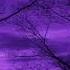 BLACK SIEMENS Slowed