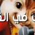 ريمكس حلمي تحطم و اختفى بصوت السناجب