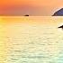 Guitar Del Mar Beautiful Music