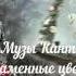 Каменные цветы гр Музы Канта альбом Простуда 2015