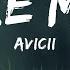 1HOUR Avicii Wake Me Up Lyrics Top Best Songs