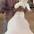 Turkey Dumba Sheep