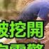 姜子牙墓被挖開 現場令專家震驚 裏面有一頭四不像 還有186位信徒殉葬 揭開姜公的真實身份 奇聞空間