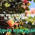 Цени каждый момент доброеутро жизнь душадух нежность любовь семья музыка цитаты шортс
