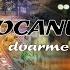 Dani Mocanu Bucurestiul Doarme Official Video