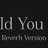 Martin Garrix Told You So Agents Of Time Remix Reverb Version