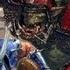 Blood Bowl Chaos Edition