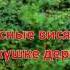 Цените женщин