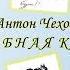 А Чехов Жалобная книга Аудиокнига A Chekhov The Complaint Book Audiobook