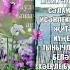 хэерле иртэлэр