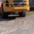 Сочленённый самосвал VOLVO A35G