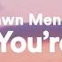 Shawn Mendes When You Re Gone Lyrics