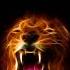 Samsung Themes Animated Wallpaper Fire Lion LIVE 10s