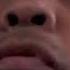 Real Chewbacca Sound