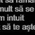 The Motans X EMAA Insula Lyrics