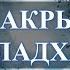 ЧАКРЫ МУЛАДХАРА ГДЕ ЗАЧЕМ И КАК ЭТО БАЗА