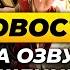 ММО ОТ РИОТ ПРОПАЛА ОЗВУЧКА МЭЛ 2vs2 АРЕНА ВЕРНЁТСЯ ФАЙТИНГ В ЛОЛ НОВОСТИ ЛИГИ ЛЕГЕНД