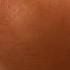 SKIN DISEASES Dermatologist Dermatology Tinea Psoriasis Alba Fungi