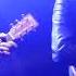 Ghost Of You Curtis Harding Live Le Trabendo Paris 15 Nov 2017