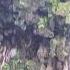 Water Fall Ayn Thoom Nasahab Taqa