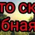 Тайна грибной коровы Теория Грибная корова Minecraft