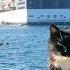 Эдуард Хиль Моряк в развалочку сошёл на берег кошки