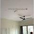 Growing Together And Building Your House Together With Your Partner Is So Cute Home Romance
