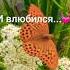Каждую ночь о ней любовь стихиожизни стихиолюбви поэзия стихотворение стих Cover Music