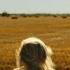 Low Land