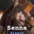 Senna Bleach Anime