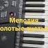 Новая мелодия Золотые листья