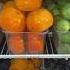 Amazing Fruits удивительные фрукты шорты Shorts Азербайджан Узбекистан Украина Россия фрукты