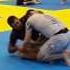 Grapplers Quest Amsterdam NO GI Intermidiate Синие Пояса Финал