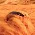 Music Habibi Song Newsong Remix Travel Desertsafari Automobile Deserttour Desertgetaway