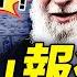 又石破天驚 川普宣布以伊停戰 這一切如何發生的 伊朗 表演式 報復與哈梅內伊的權力危機 靖遠開講 唐靖遠 2025 06 23 扁康丸