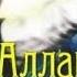 Джон Аллан Данн Знак черепа 4