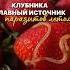 КАК ПРАВИЛЬНО МЫТЬ КЛУБНИКУ клубника клубничноеваренье клубничныйторт клубникавшоколаде