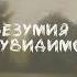 ЩЕНКИ Лакост