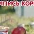 Растішка підкріпись корисно