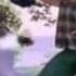 MMPR 5 4 1 Music Video