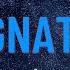 K 391 Alan Walker Ignite Ft Julie Bergan Seigneur Lyrics