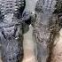 Alligator Vs Crocodile Difference