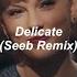 Taylor Swift Delicate Seeb Remix Türkçe Çeviri
