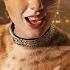 Taylor Swift Poisons Jellicles With Catnip Macavity Song Cats