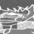 Pokemon Lavender Town Original W A R N I N G
