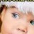 Ялиночка Little Christmas Tree