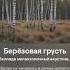 Берёзовая грусть